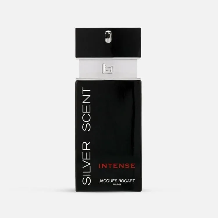 SILVER SCENT INTENSE-EDT-100ML-M (J.B)